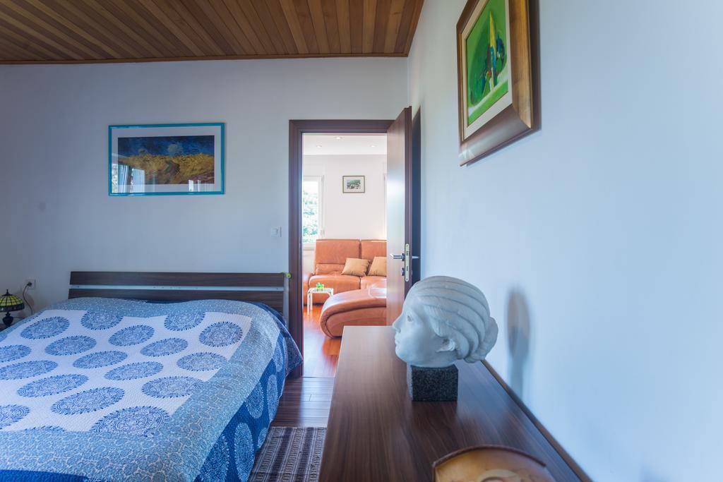 Apartment Galjanic Buzdohanj Zimmer foto