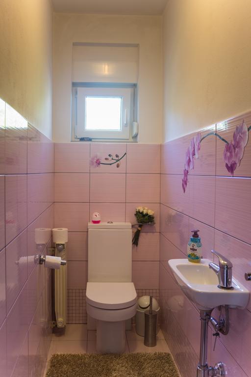 Apartment Galjanic Buzdohanj Zimmer foto